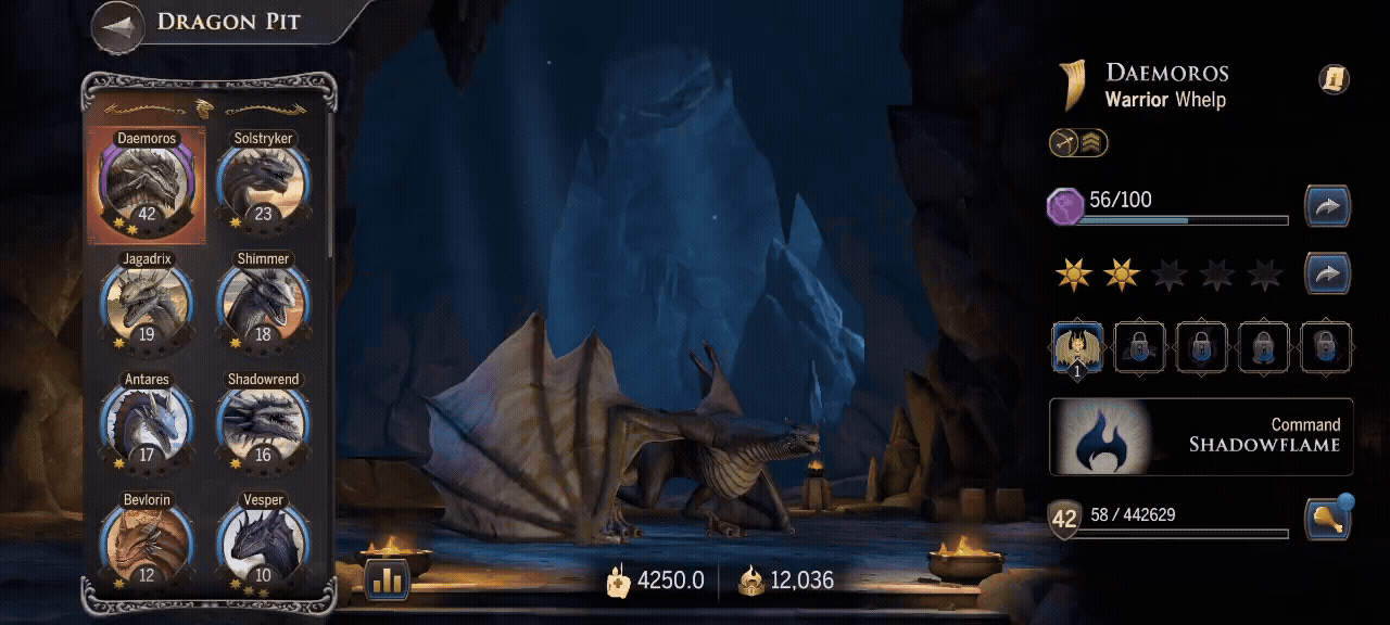 image6.gif